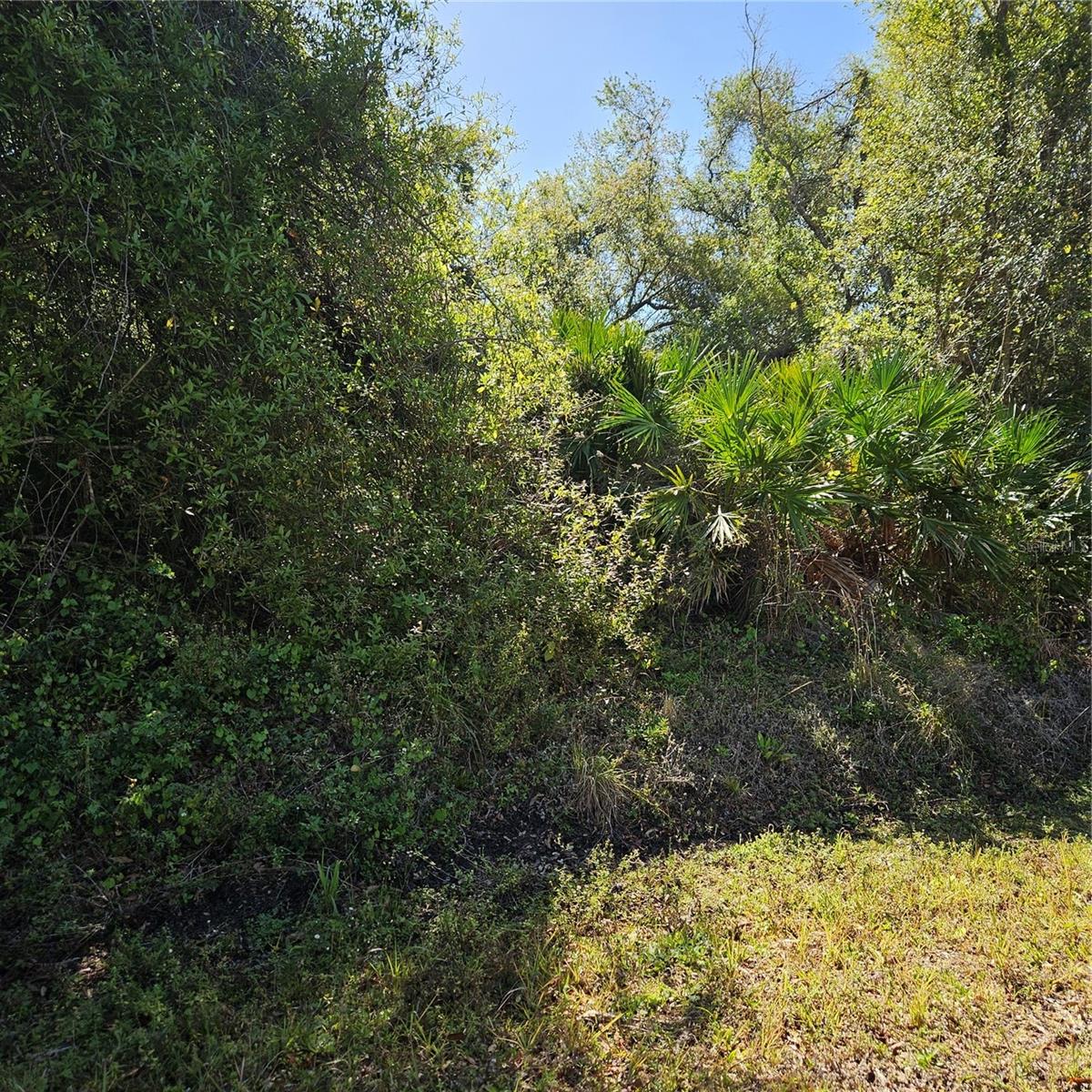 JANARO RD Property Photo 1
