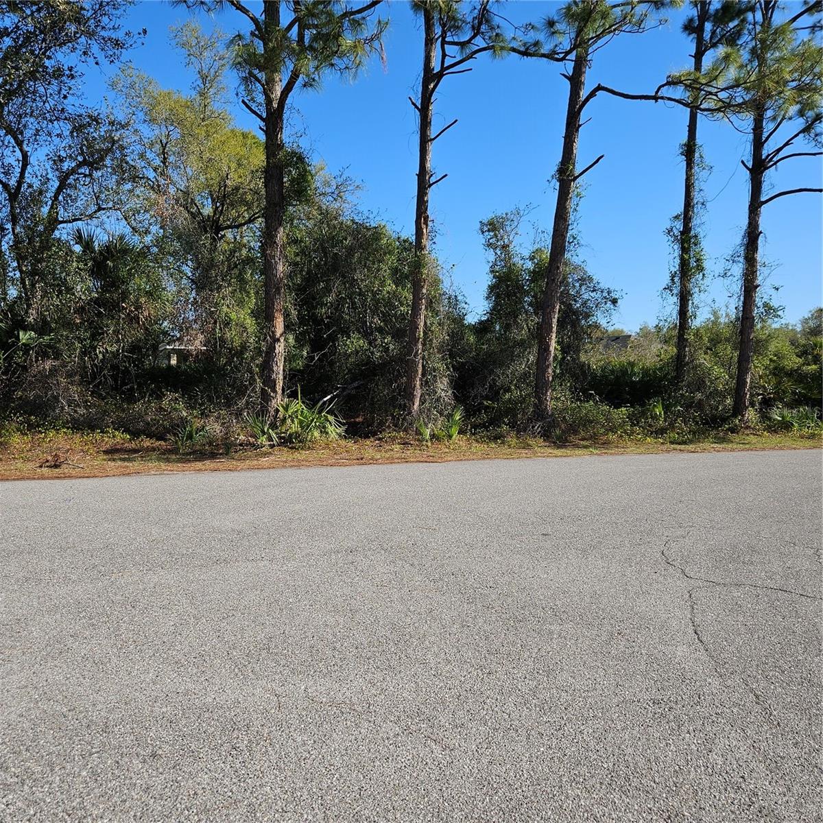 Janaro Rd Property Photo 1