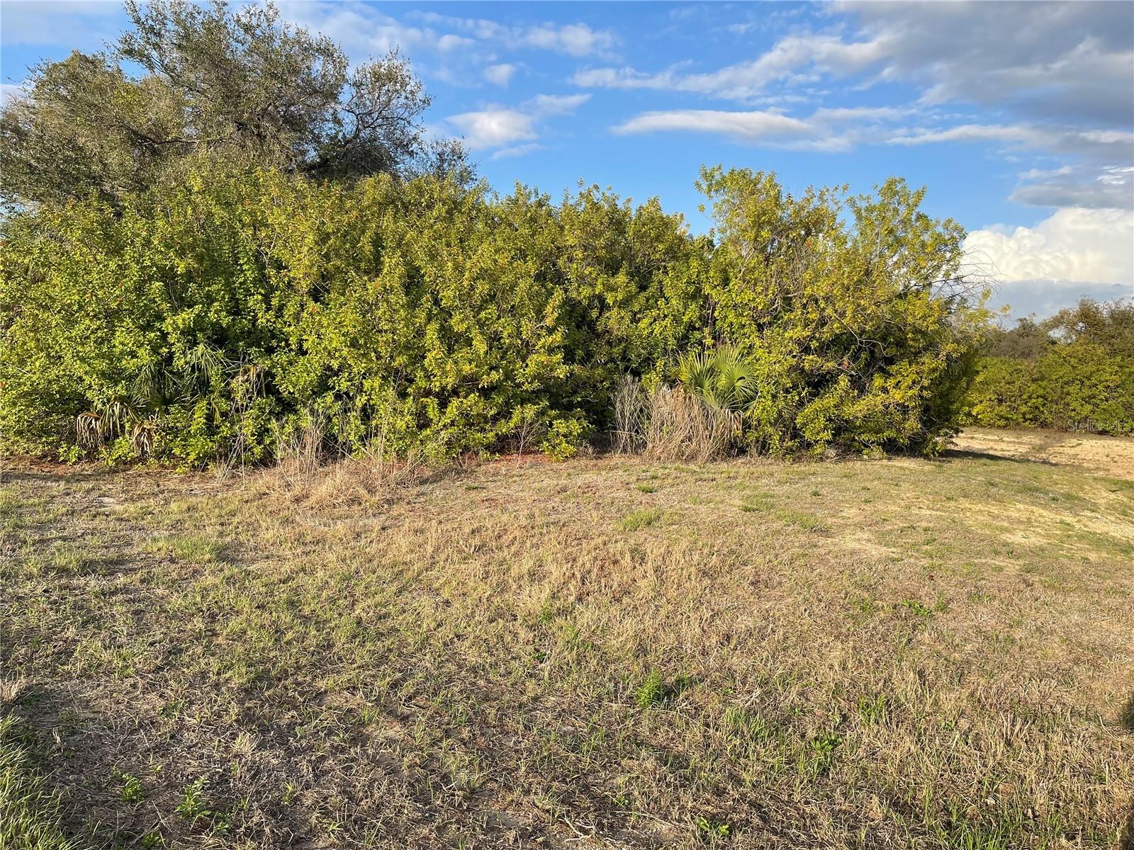 Lot #9 S Lipscomb St Property Photo 2