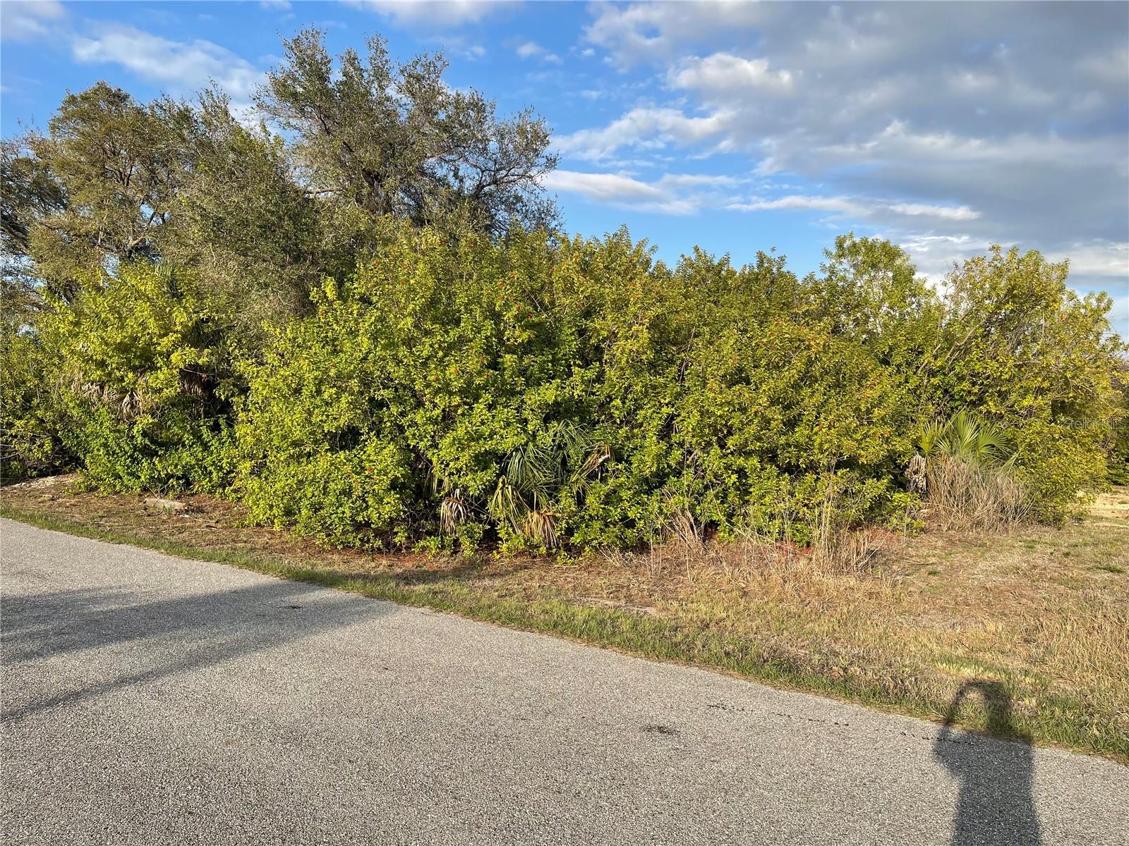 Lot #9 S Lipscomb St Property Photo 3