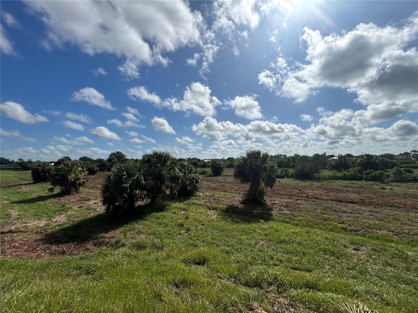 7024 Grove Blvd Property Photo 2