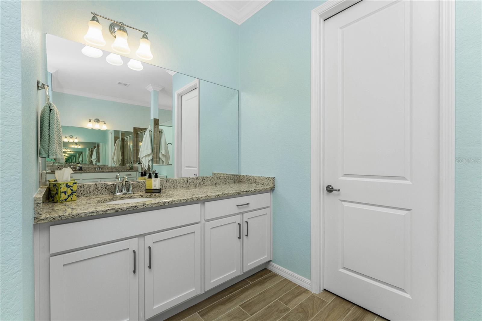 25223 Keygrass Ct Property Photo 17