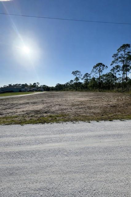 12359 Los Olas Dr Property Photo 5