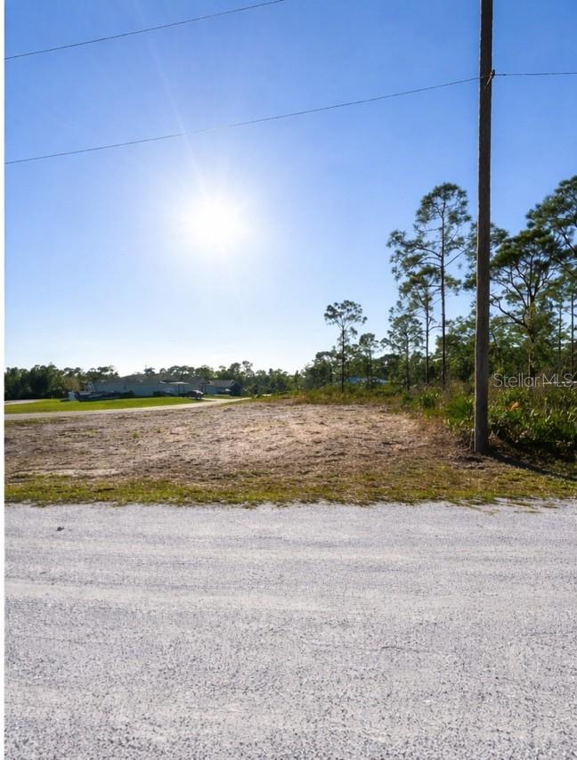 12359 Los Olas Dr Property Photo 6