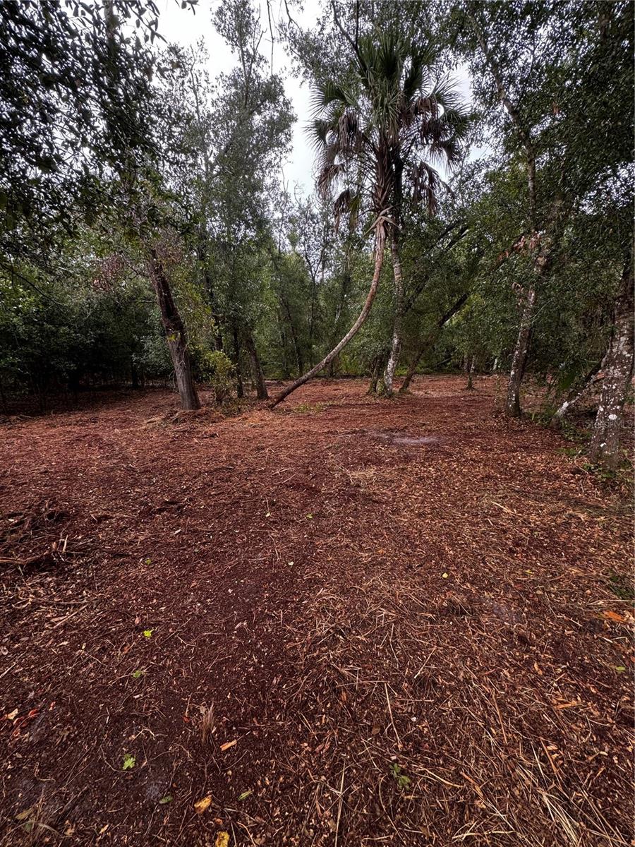 17432 Inglewood Ave Property Photo 1