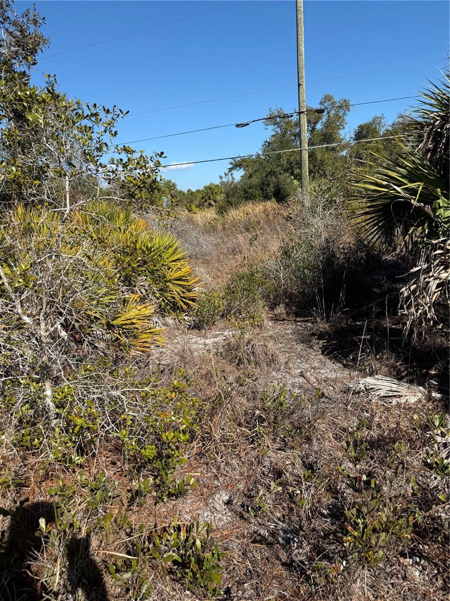 C7523396 Property Photo 2