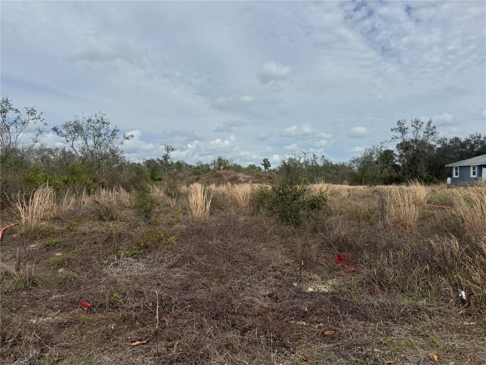 8500 Sw Aviary Rd Property Photo 4
