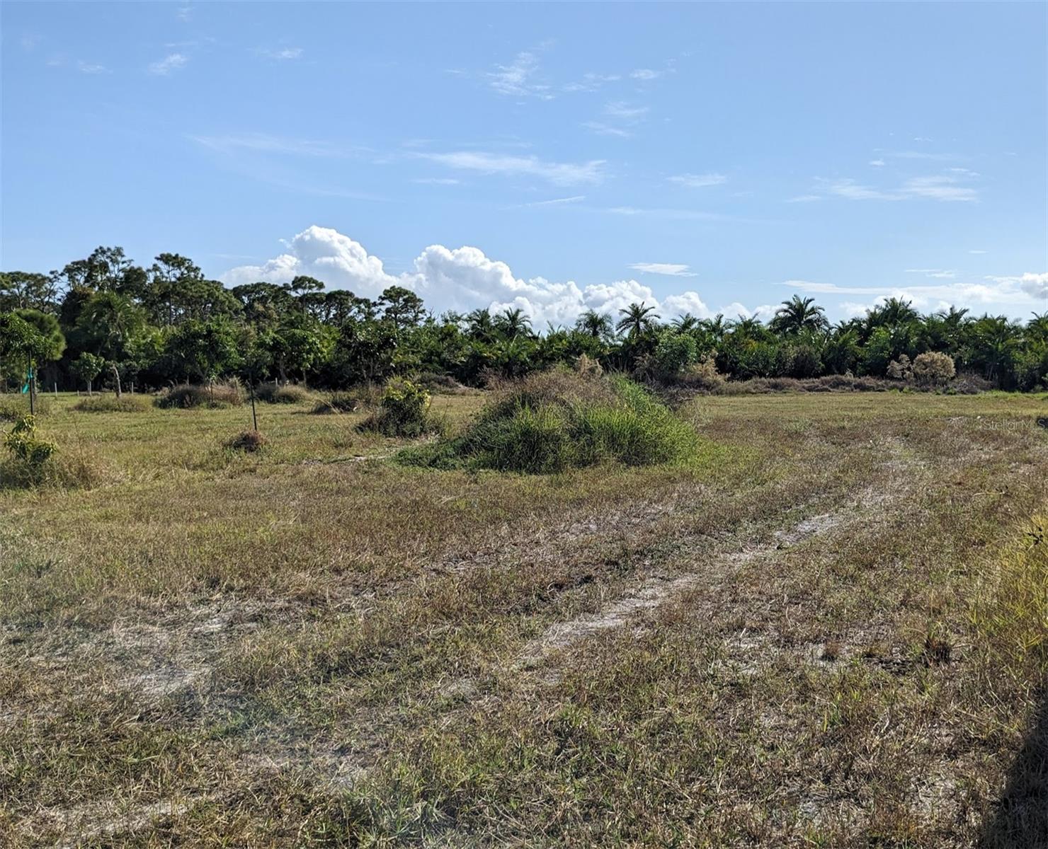 4159 Sunshine Blvd Property Photo 4