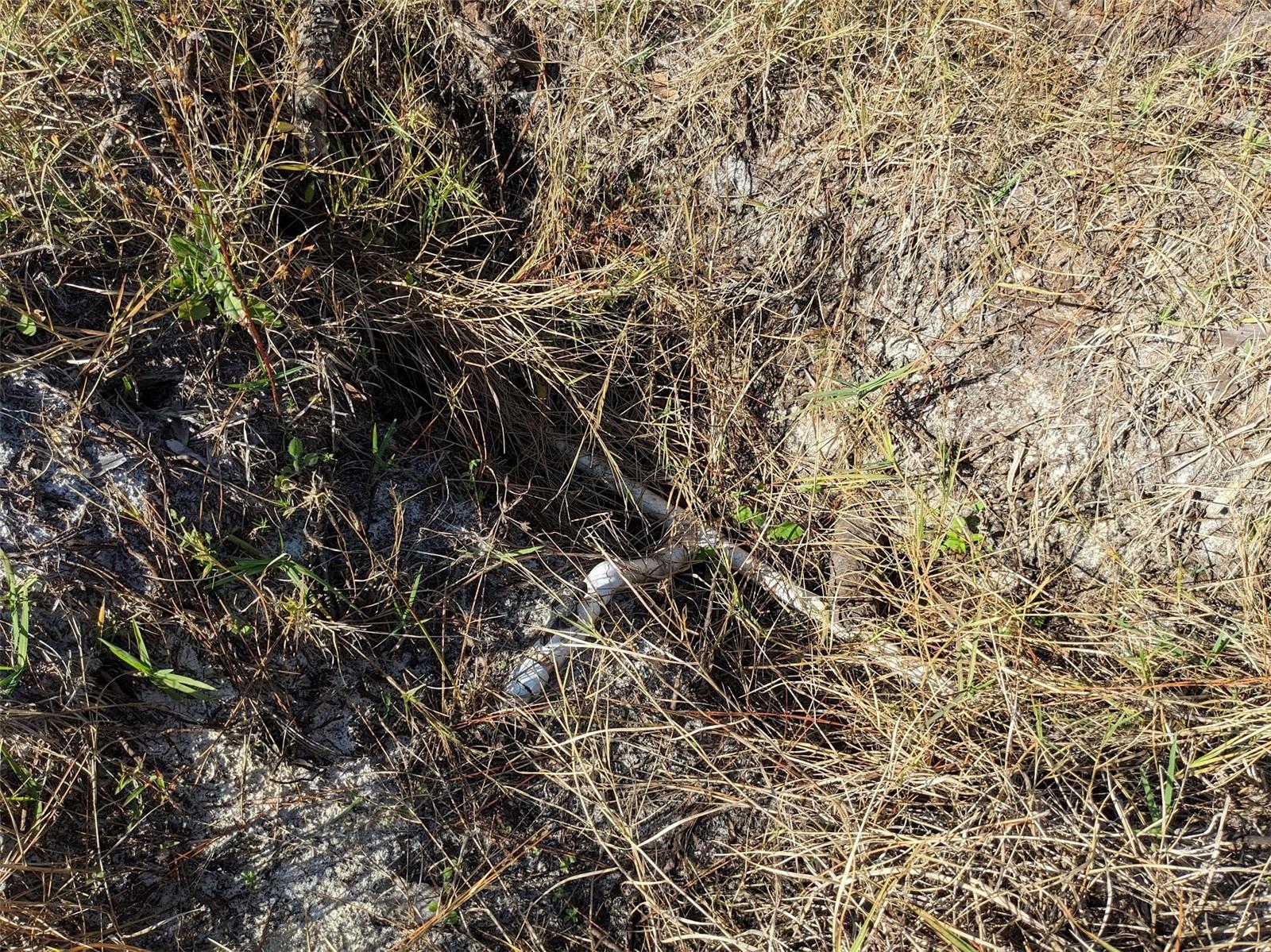 4159 Sunshine Blvd Property Photo 11