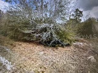 13274 CALOOSA DR Property Photo 1