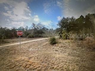 13274 Caloosa Dr Property Photo 2