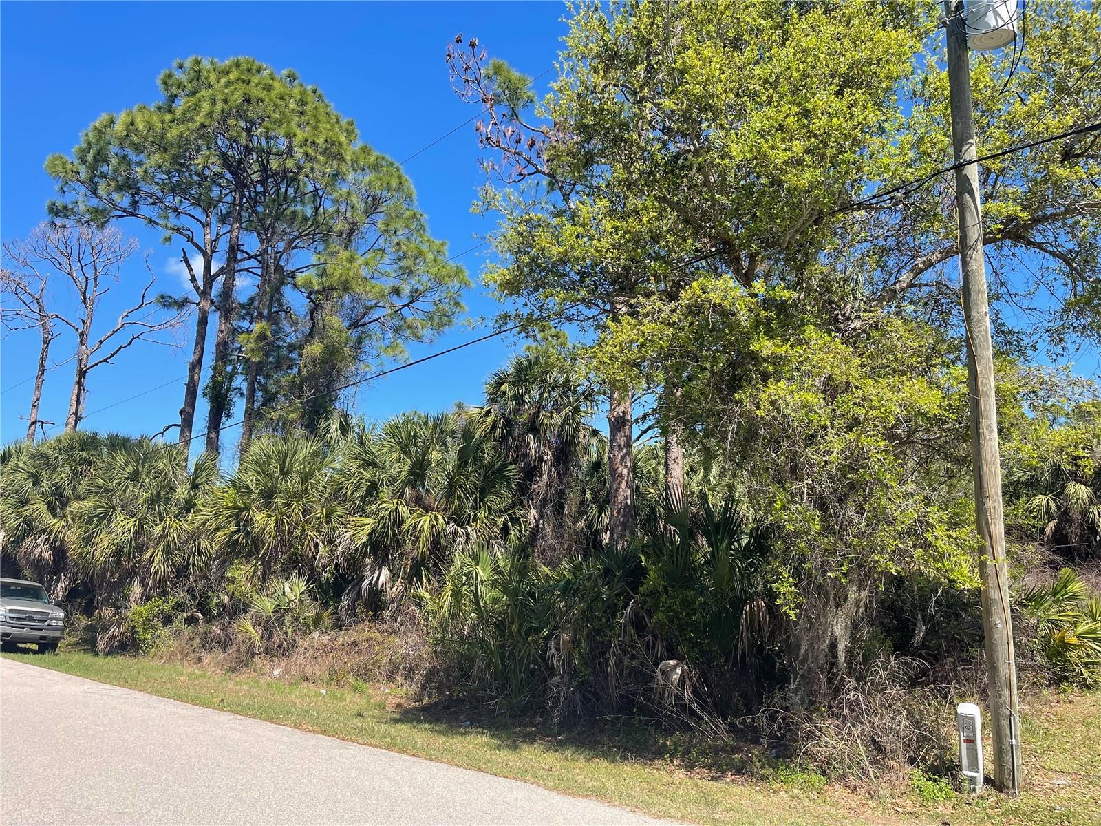 Lot 17 ALLEGHENY LN Property Photo 1