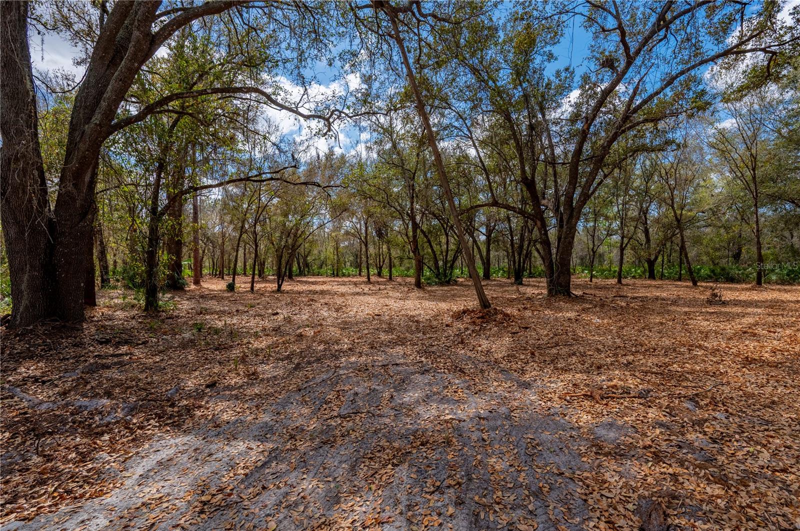 Se Hwy 31 #30 Property Photo 3