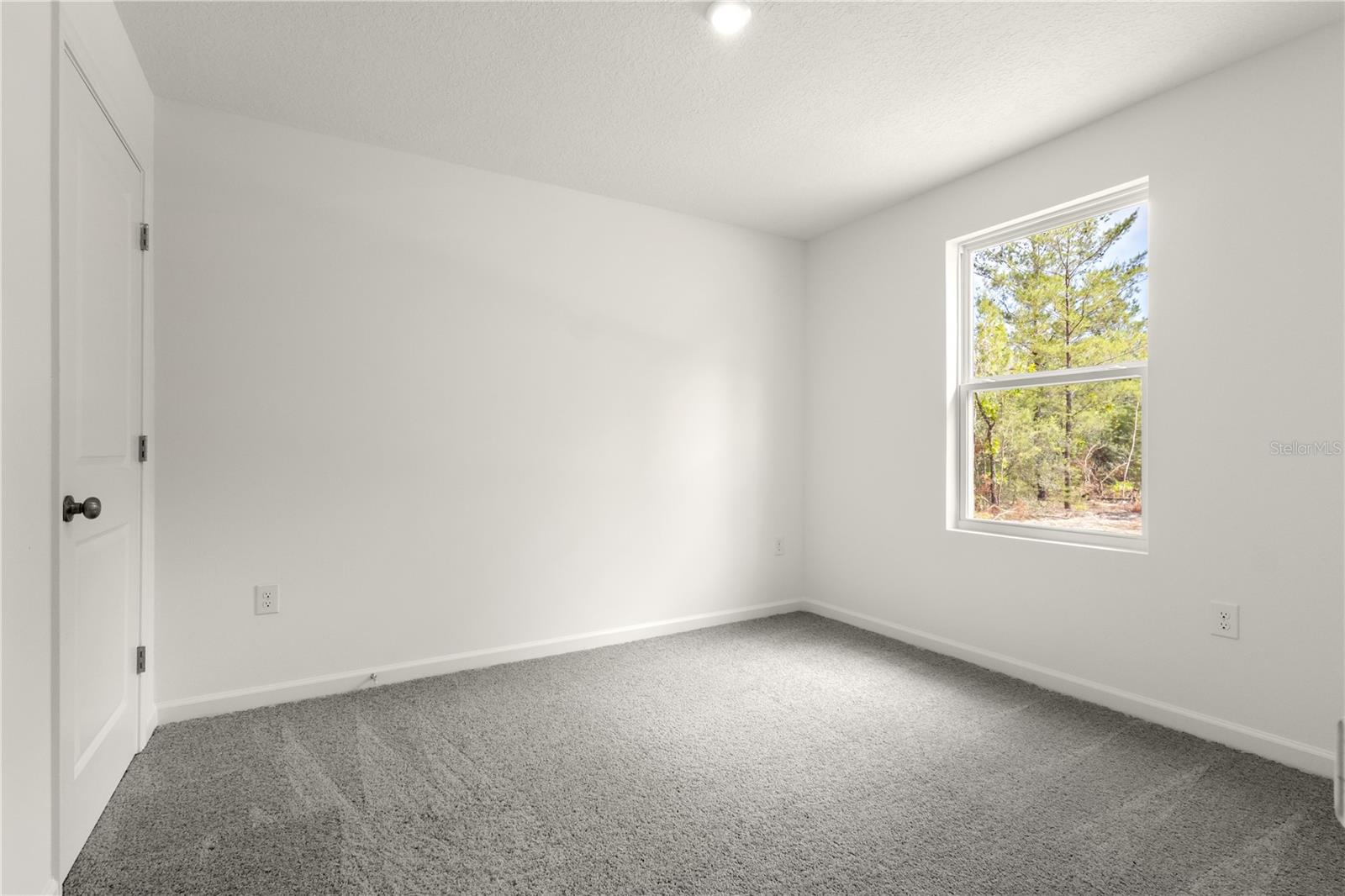 5540 Chestnut Ave Property Photo 10