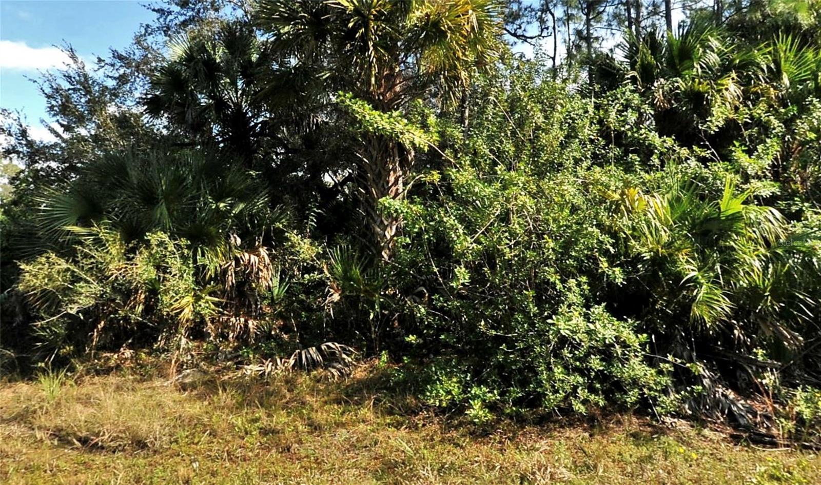 Bolus Property Photo 1