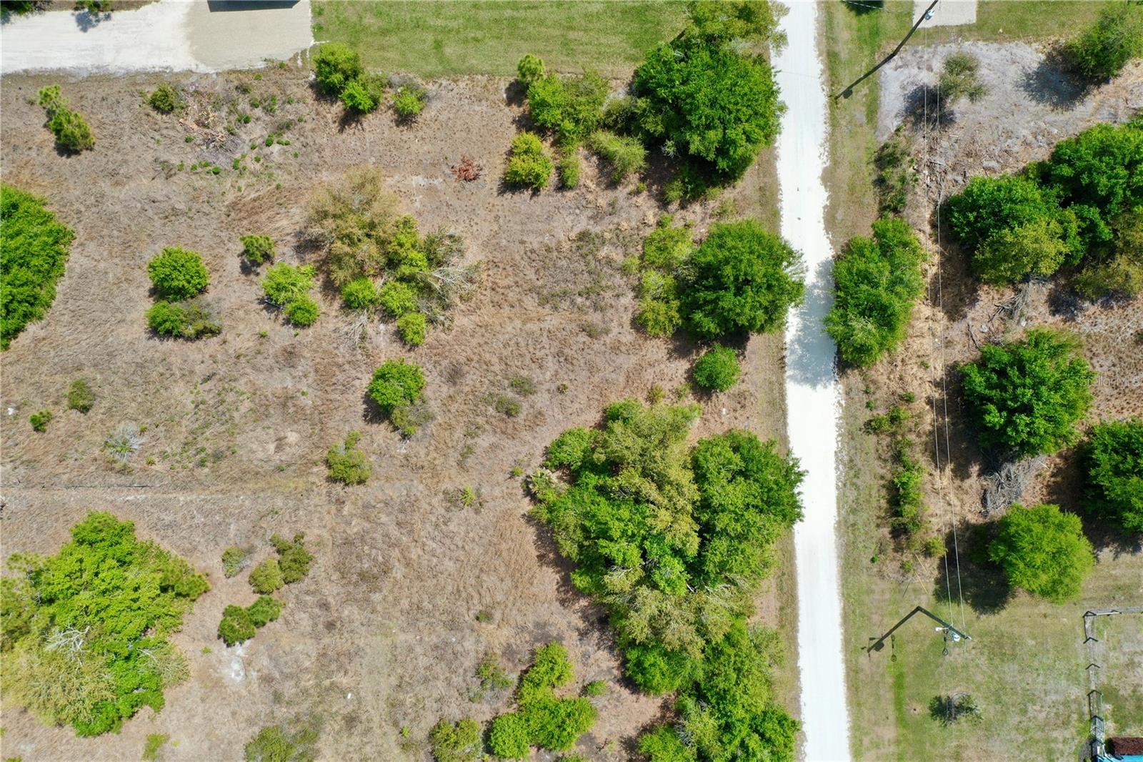27054 Mingo Dr Property Photo 11
