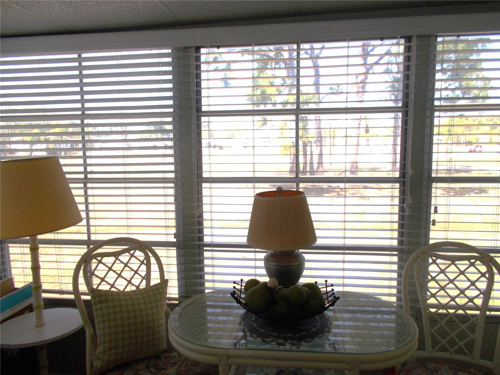 5004 Palena Blvd Property Photo 30