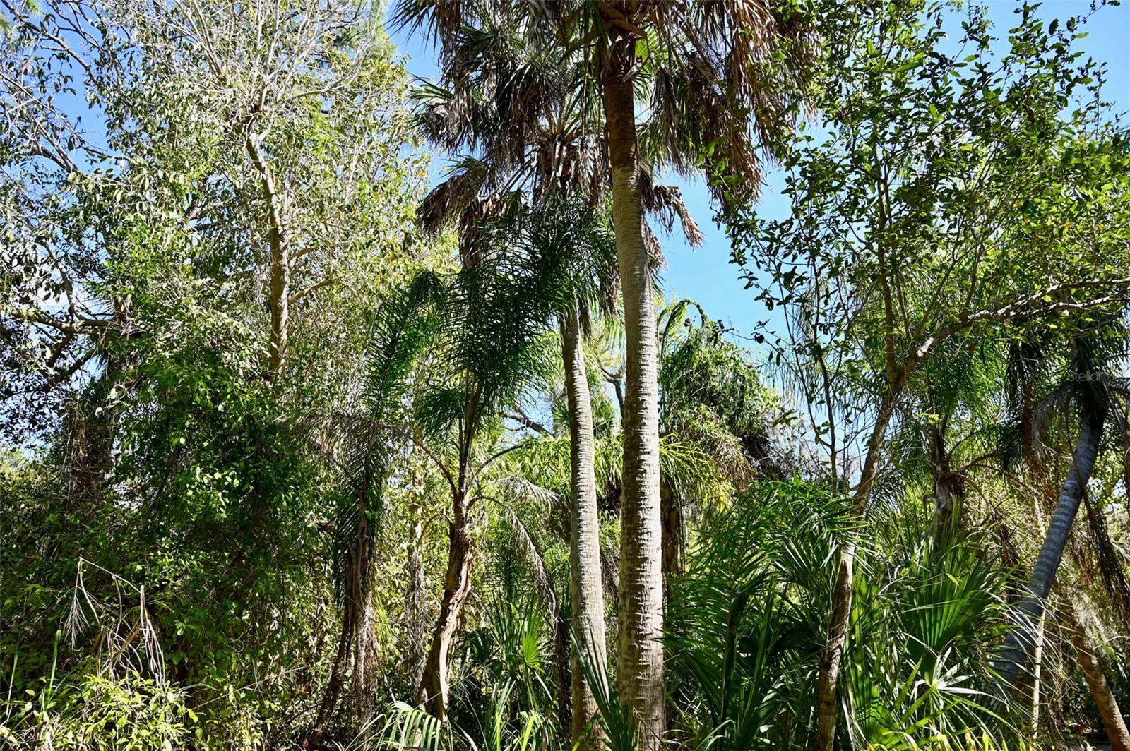 22901 Bayshore Rd Property Photo 4