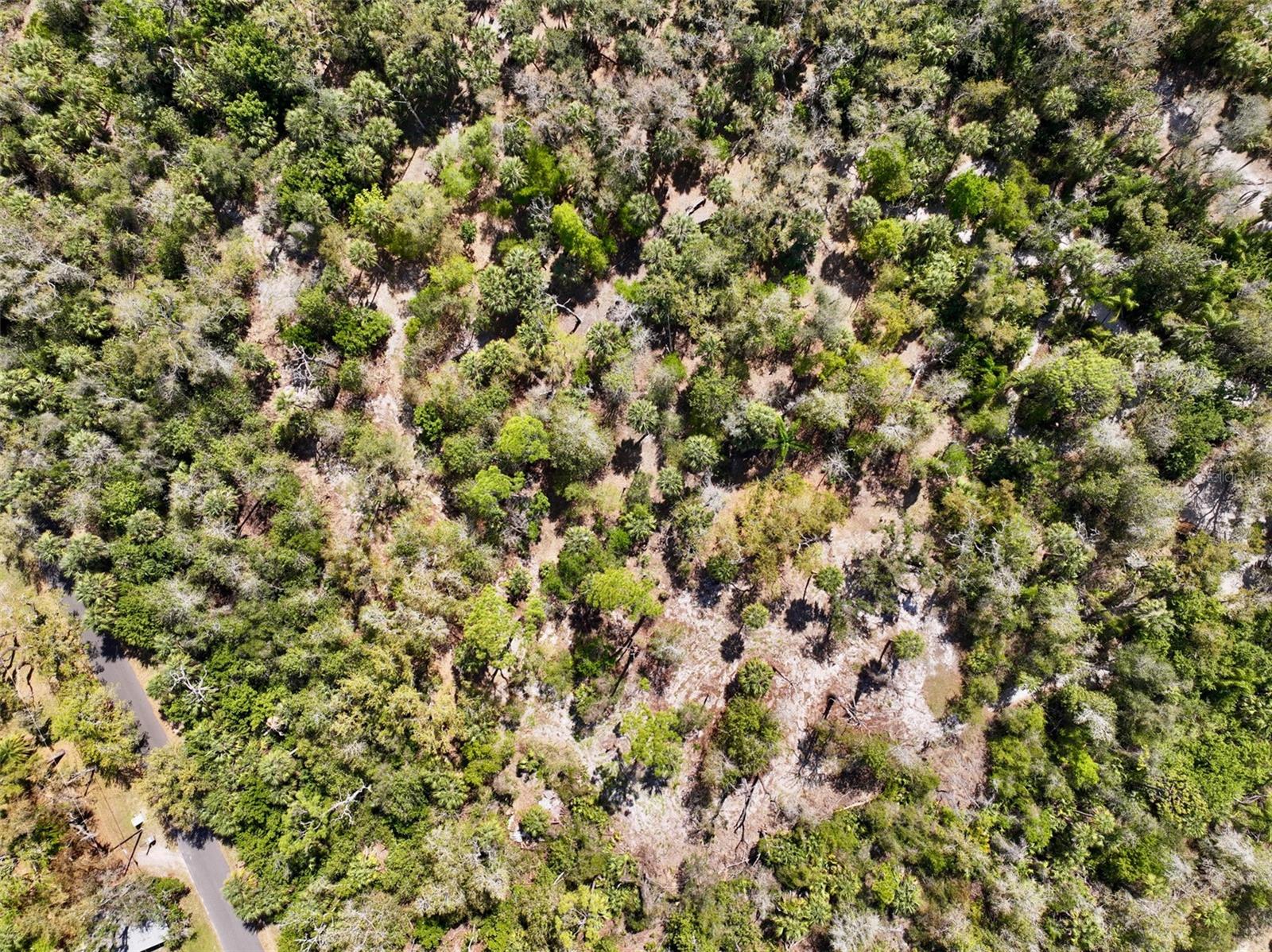 22901 Bayshore Rd Property Photo 11