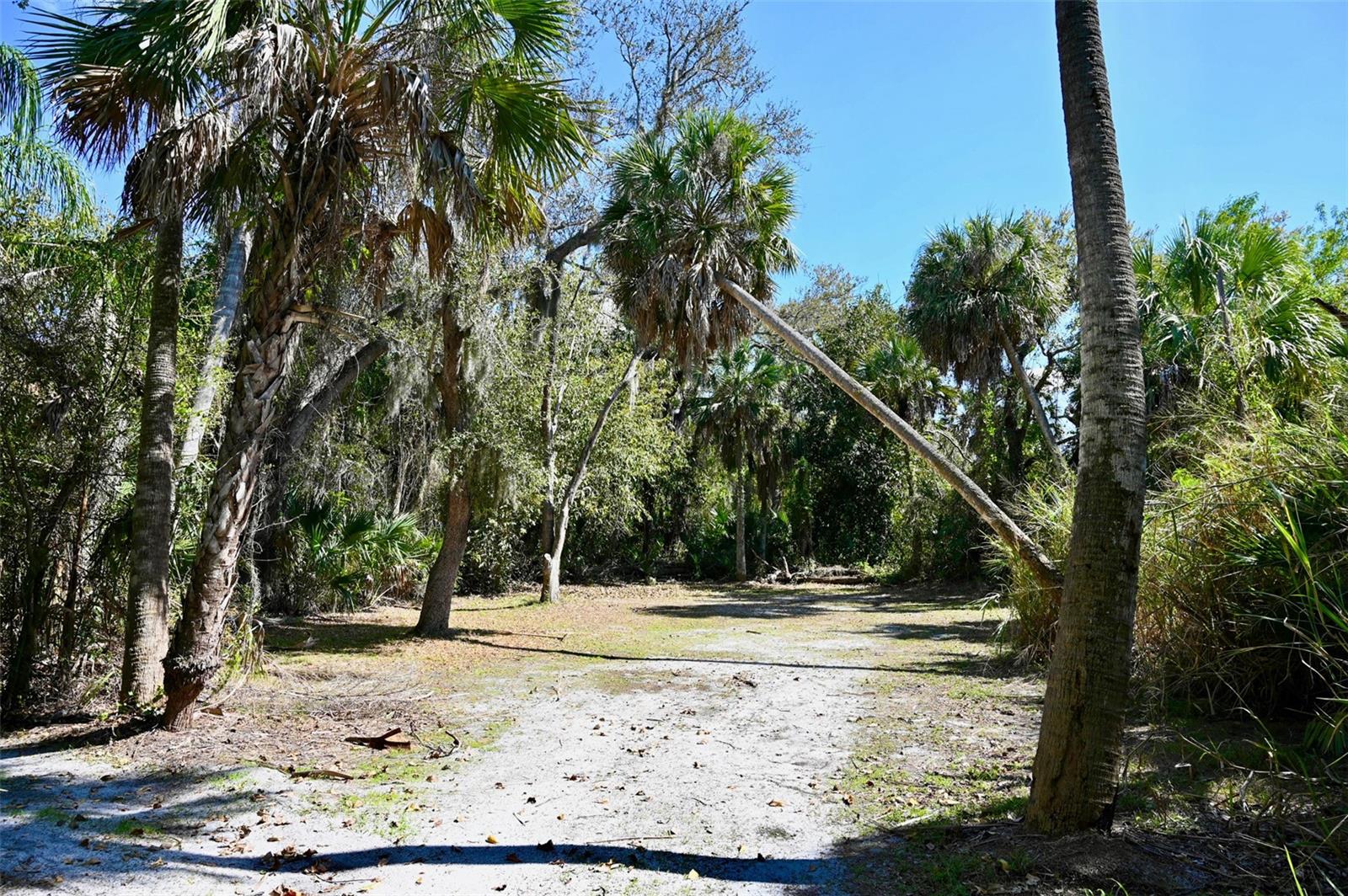 22901 Bayshore Rd Property Photo 13