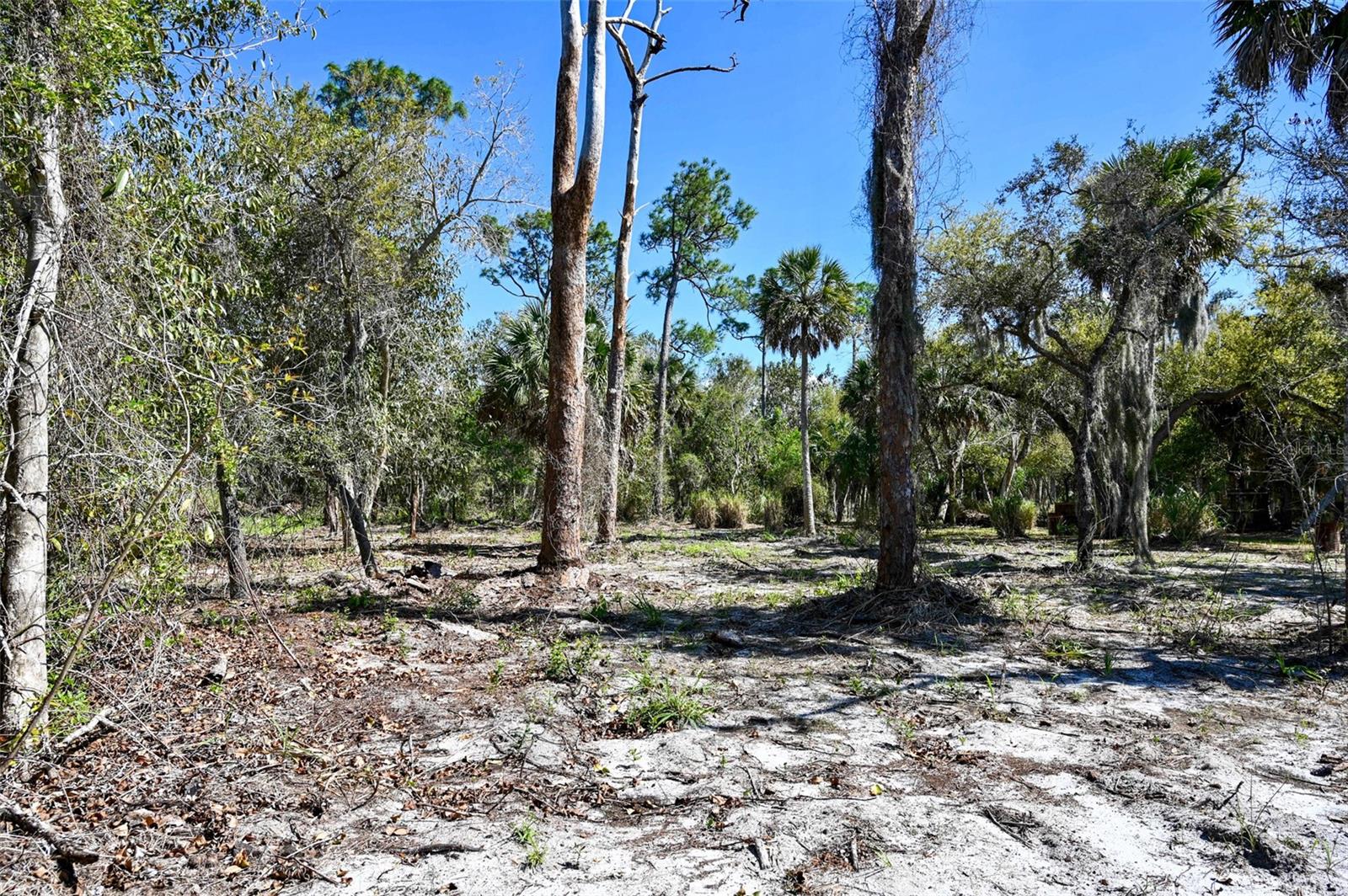 22901 Bayshore Rd Property Photo 15