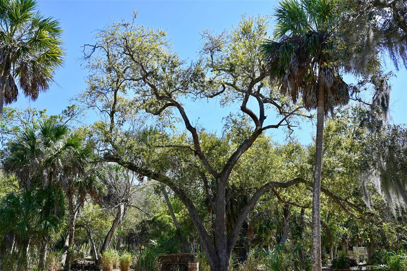 22901 Bayshore Rd Property Photo 16