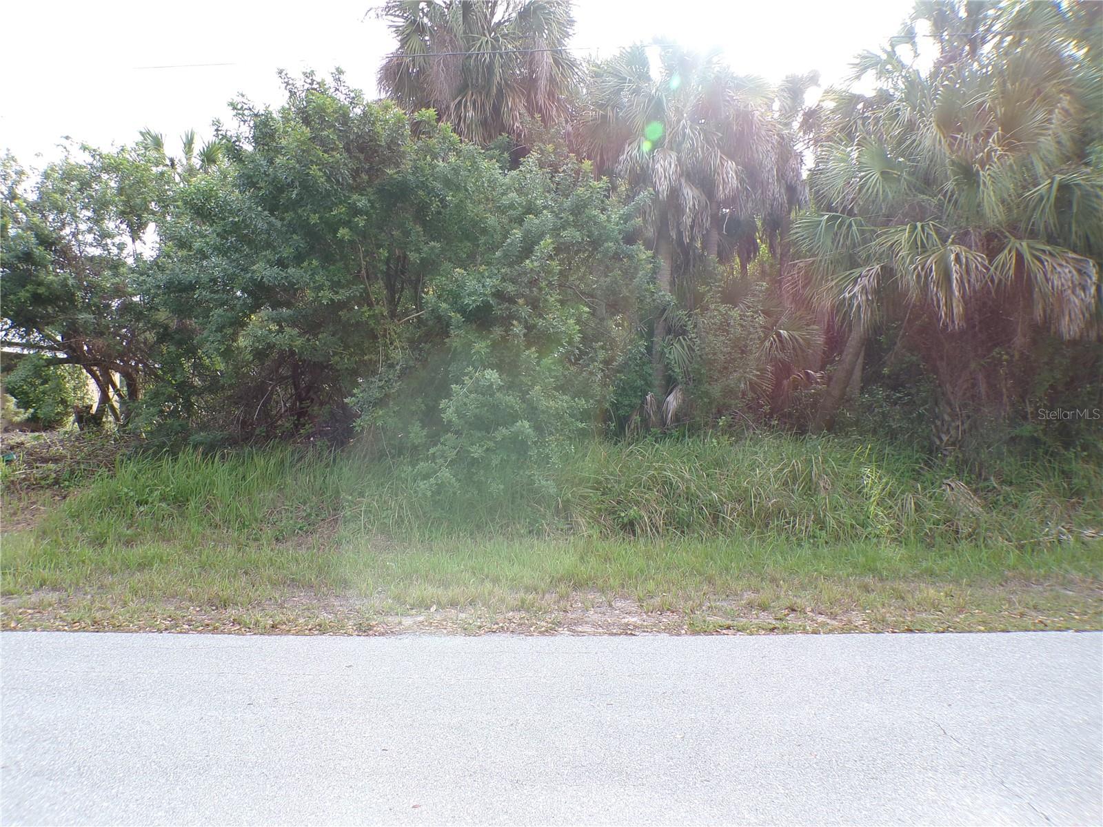 164 FERDON CIR Property Photo 1
