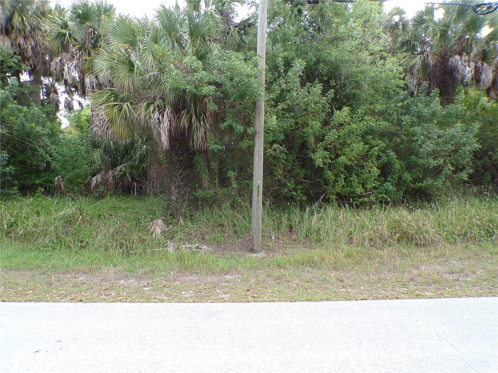 164 Ferdon Cir Property Photo 5