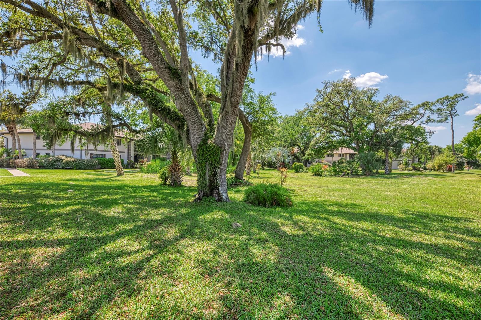 1515 Forrest Nelson Blvd #g104 Property Photo 38