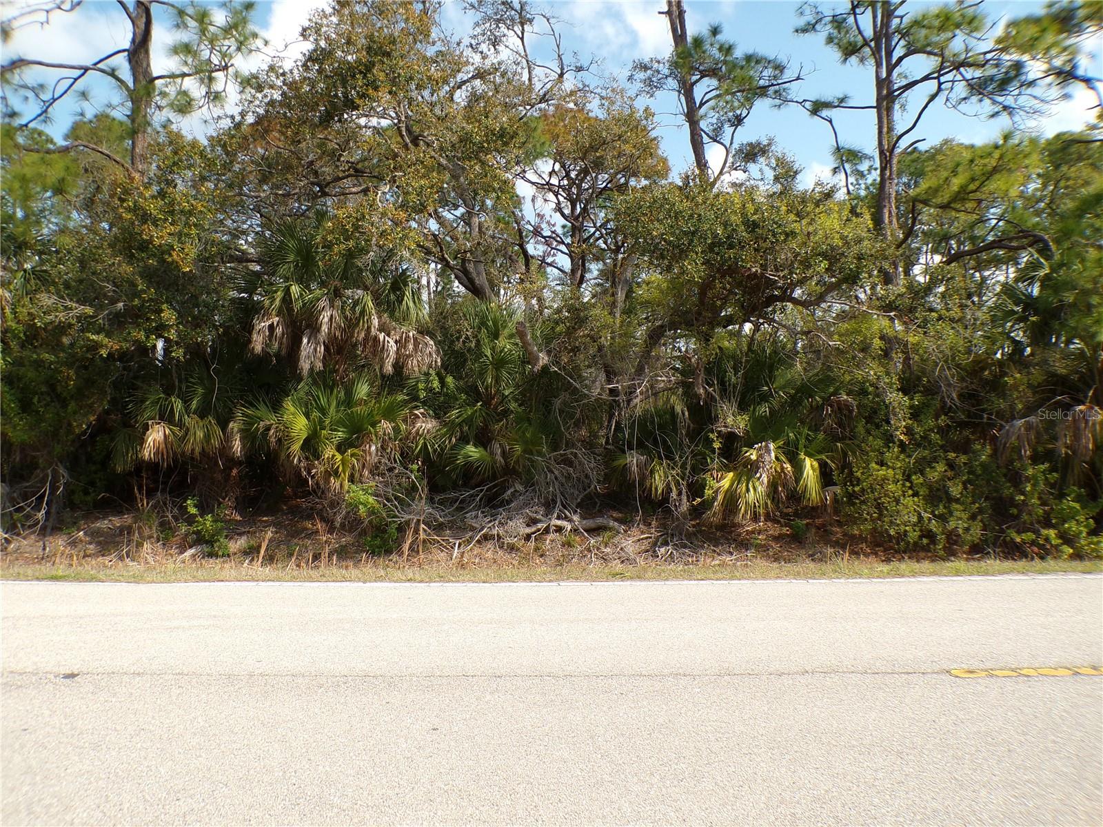 1316 Biscayne Dr Property Photo 5