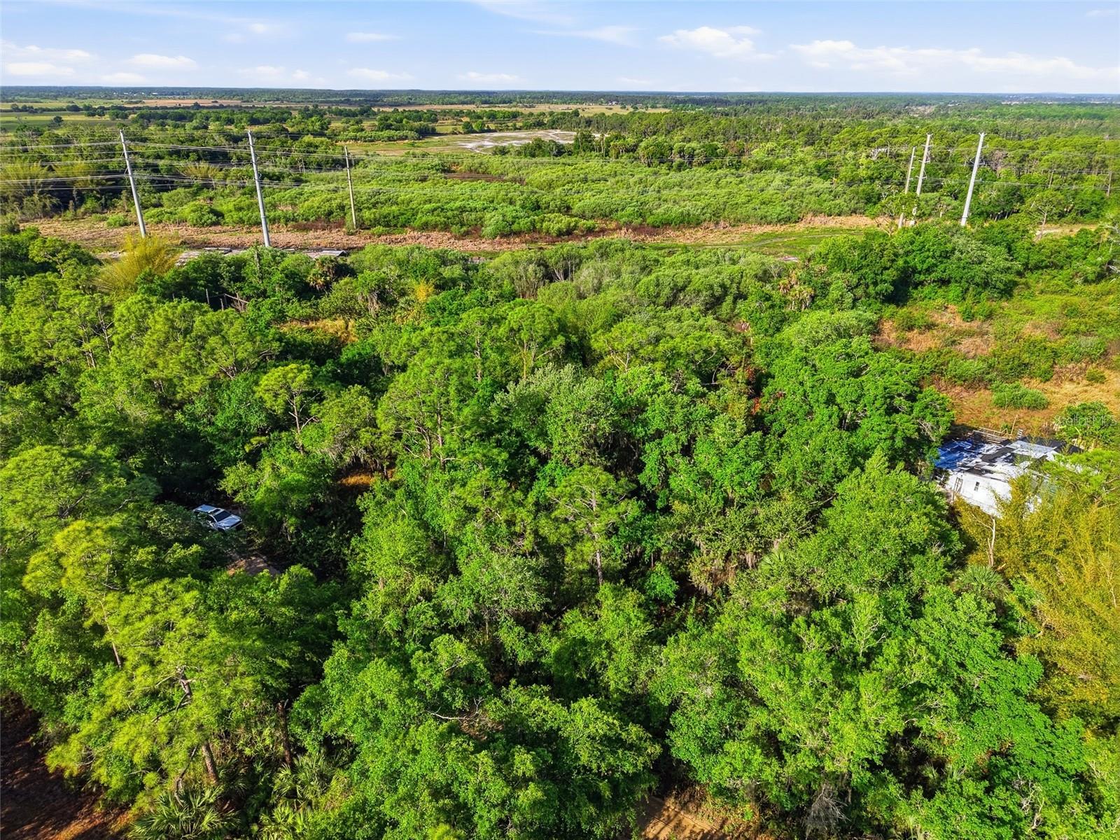 22811 Williams Dr Property Photo 8