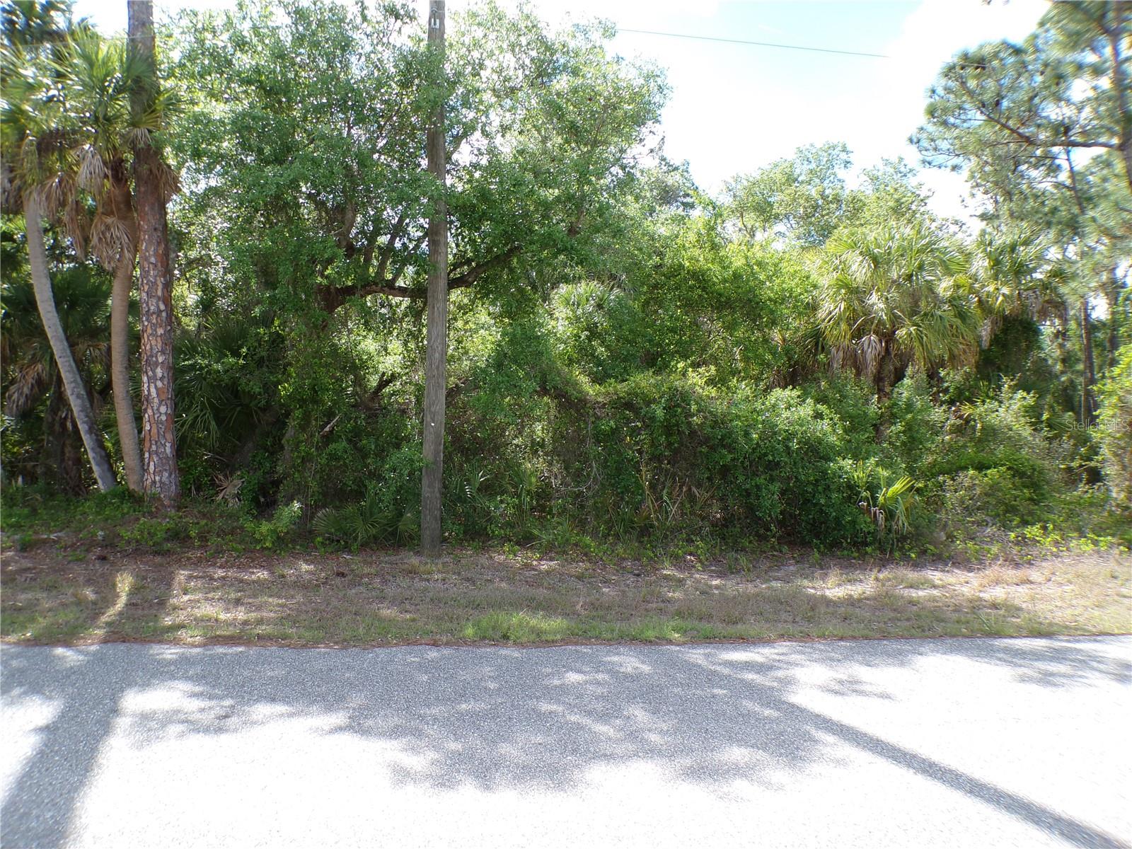 55 Justine St Property Photo 2