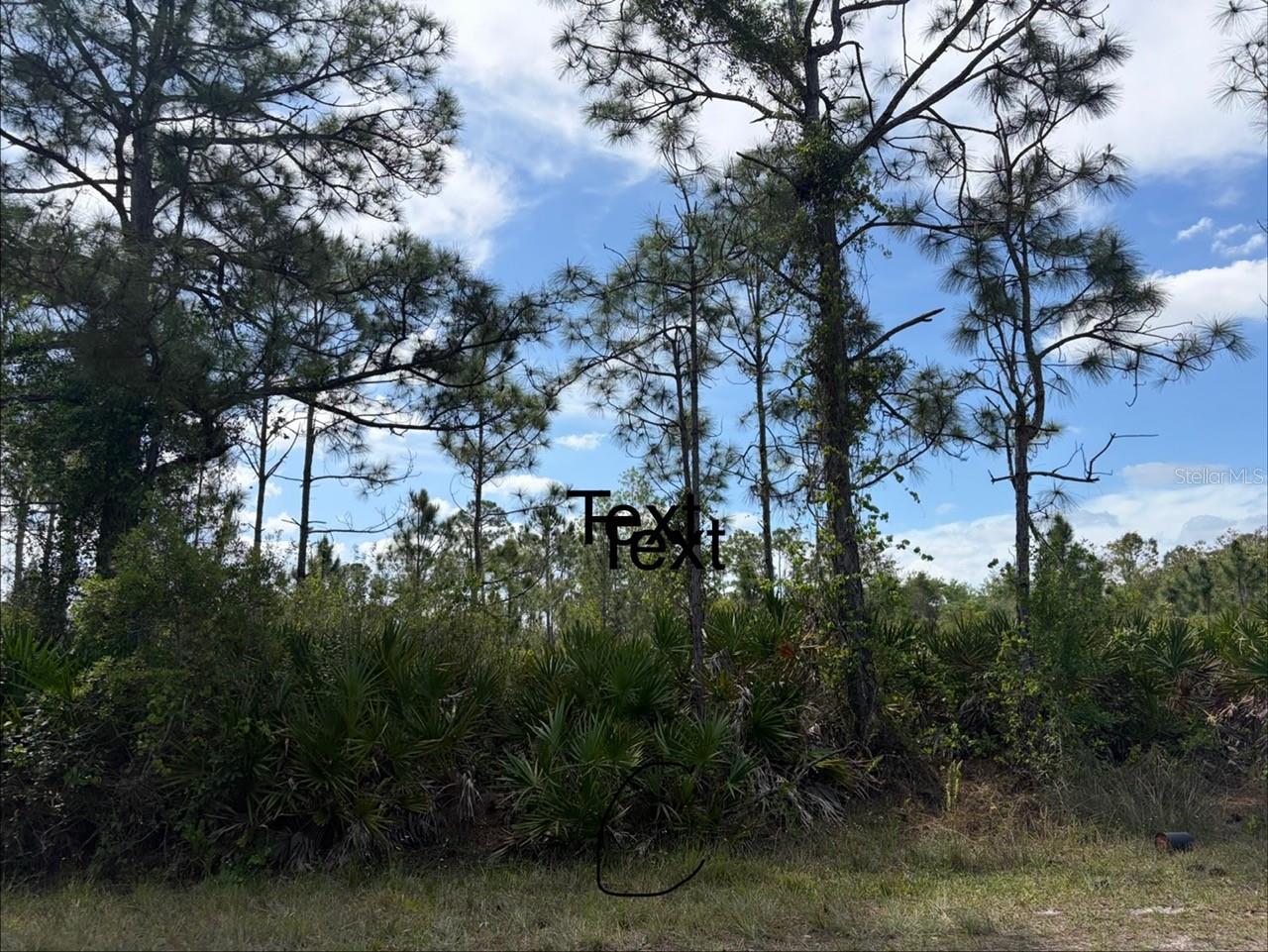 28131 RAMIRO DR Property Photo 1