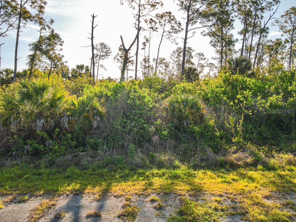 Blueleaf Dr Property Photo 3