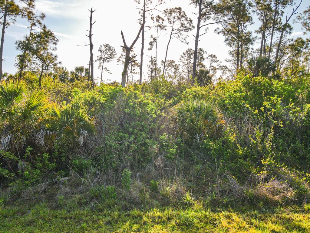 Blueleaf Dr Property Photo 4