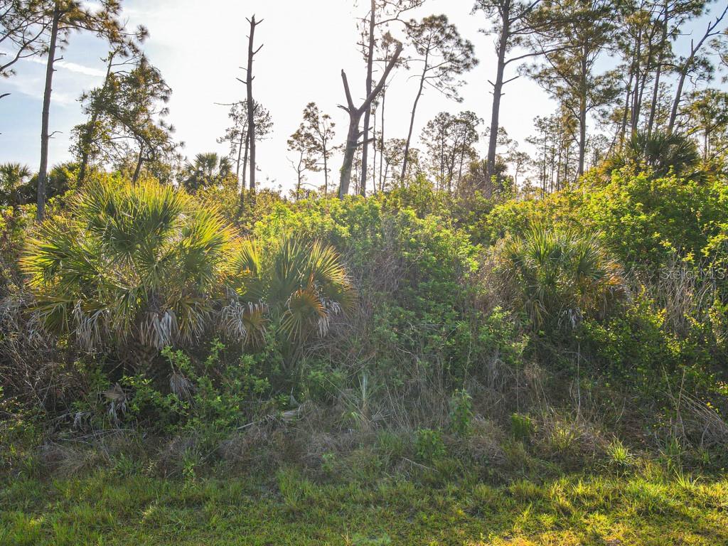 Blueleaf Dr Property Photo 5