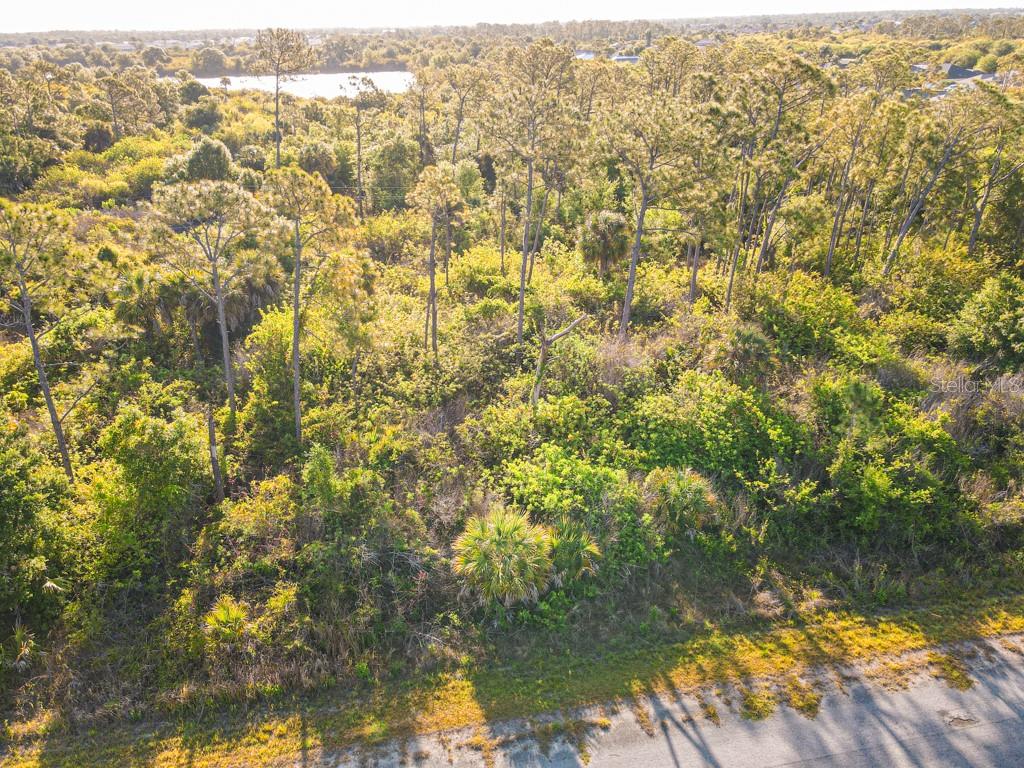 Blueleaf Dr Property Photo 9