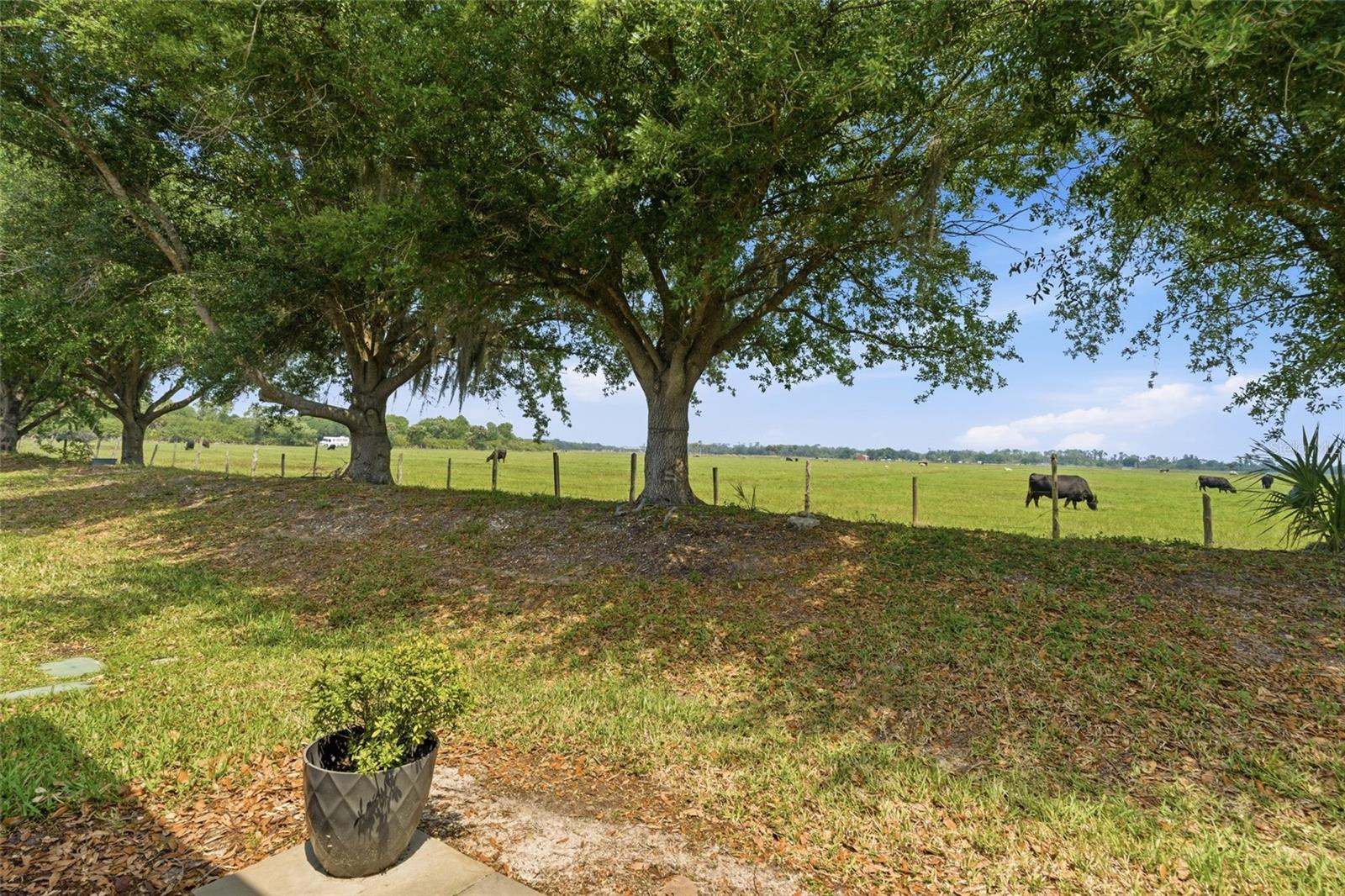8834 Tuscany Isles Dr Property Photo 38