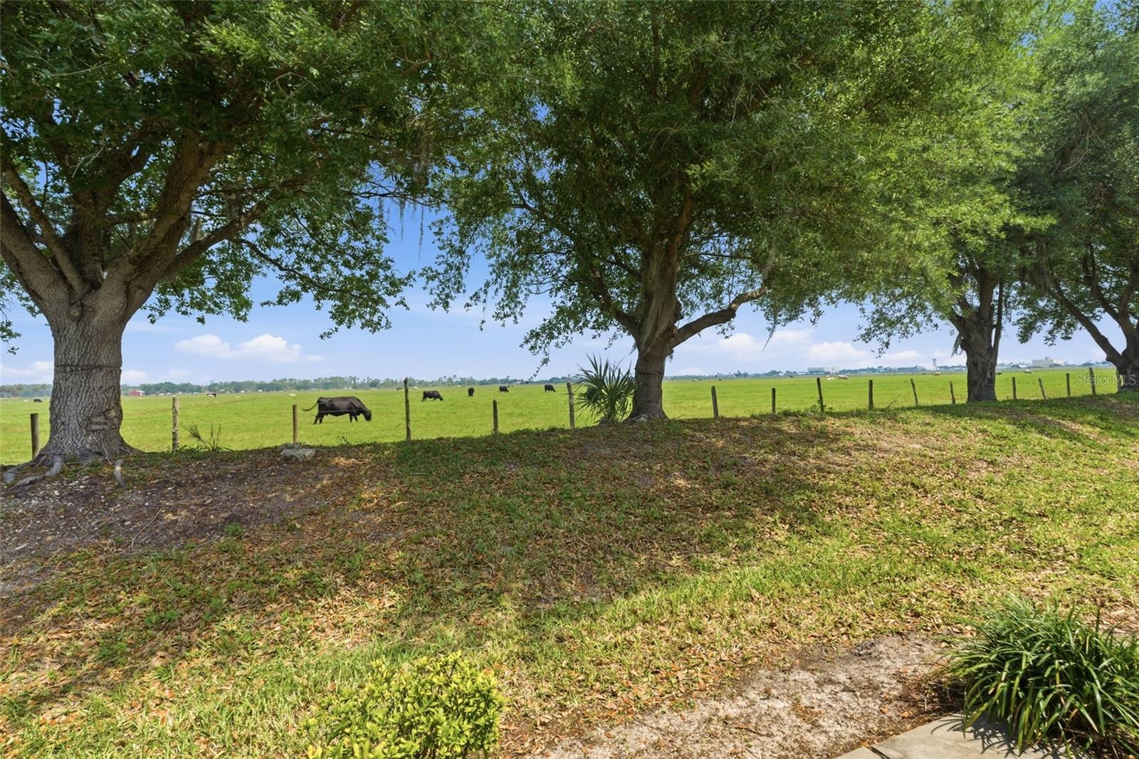 8834 Tuscany Isles Dr Property Photo 39
