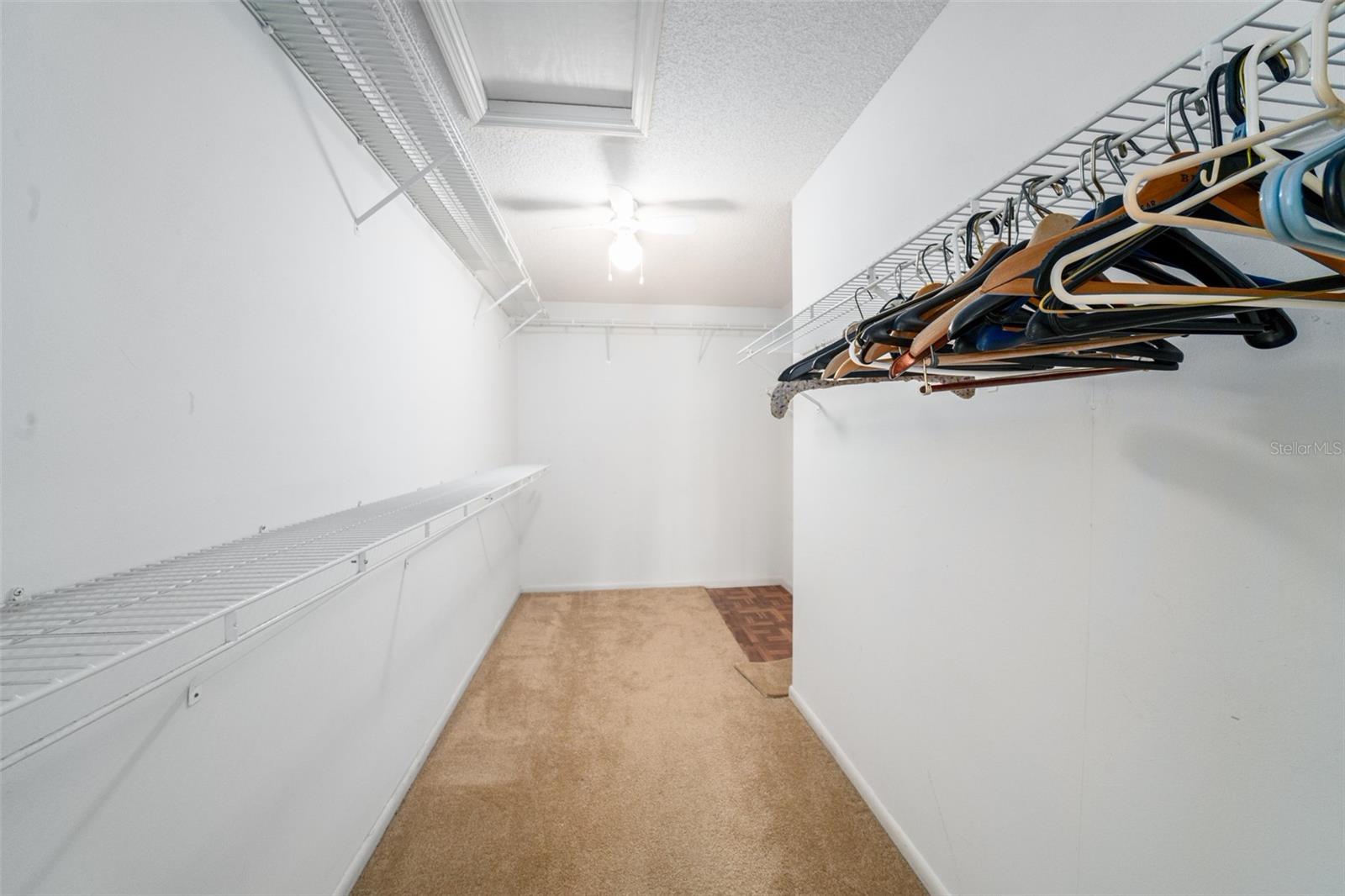 3162 E Village Dr Property Photo 23
