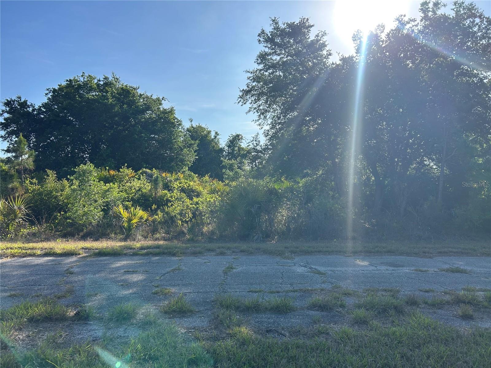 Winterville Cir Property Photo