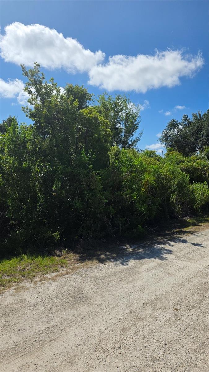 2094 Middle Ter Property Photo 5