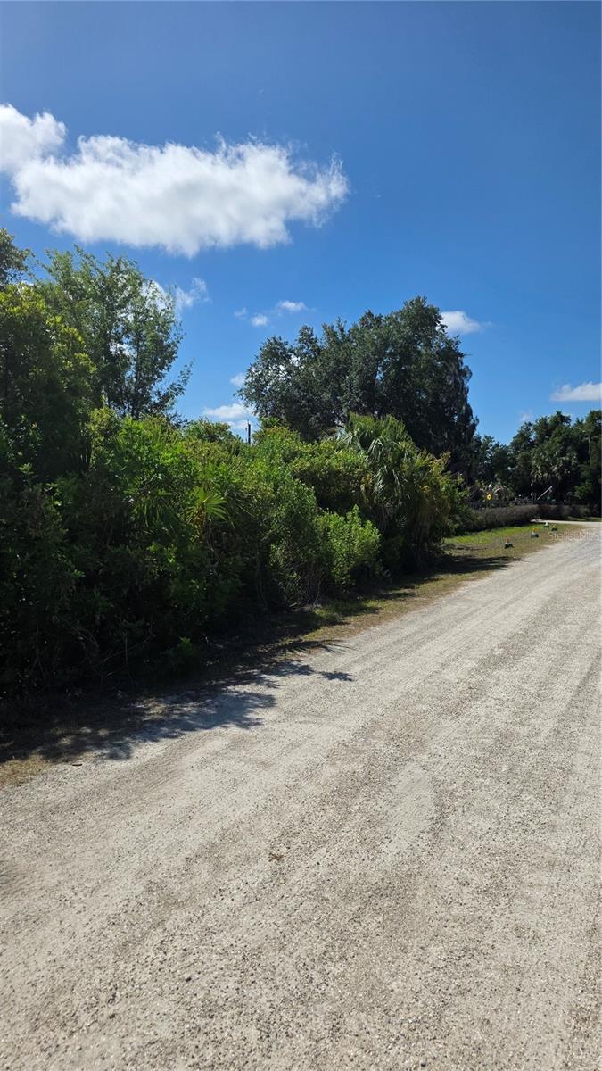 2094 Middle Ter Property Photo 6