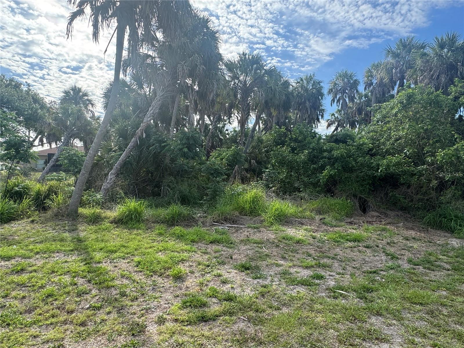 Lot 1 Mulgrave Ave Property Photo 4