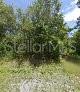 245 N Romero St Property Photo 1