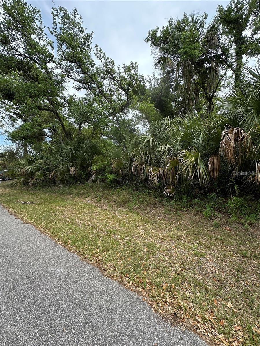 Lot 27 SAN LUIS TER Property Photo 1