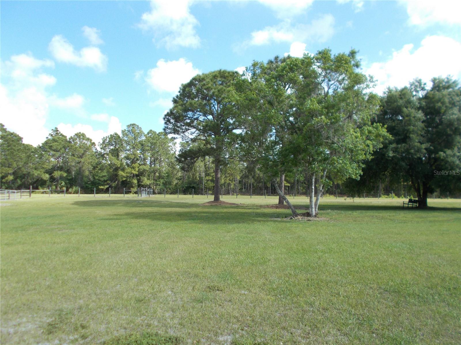 6960 Malton St Property Photo 3