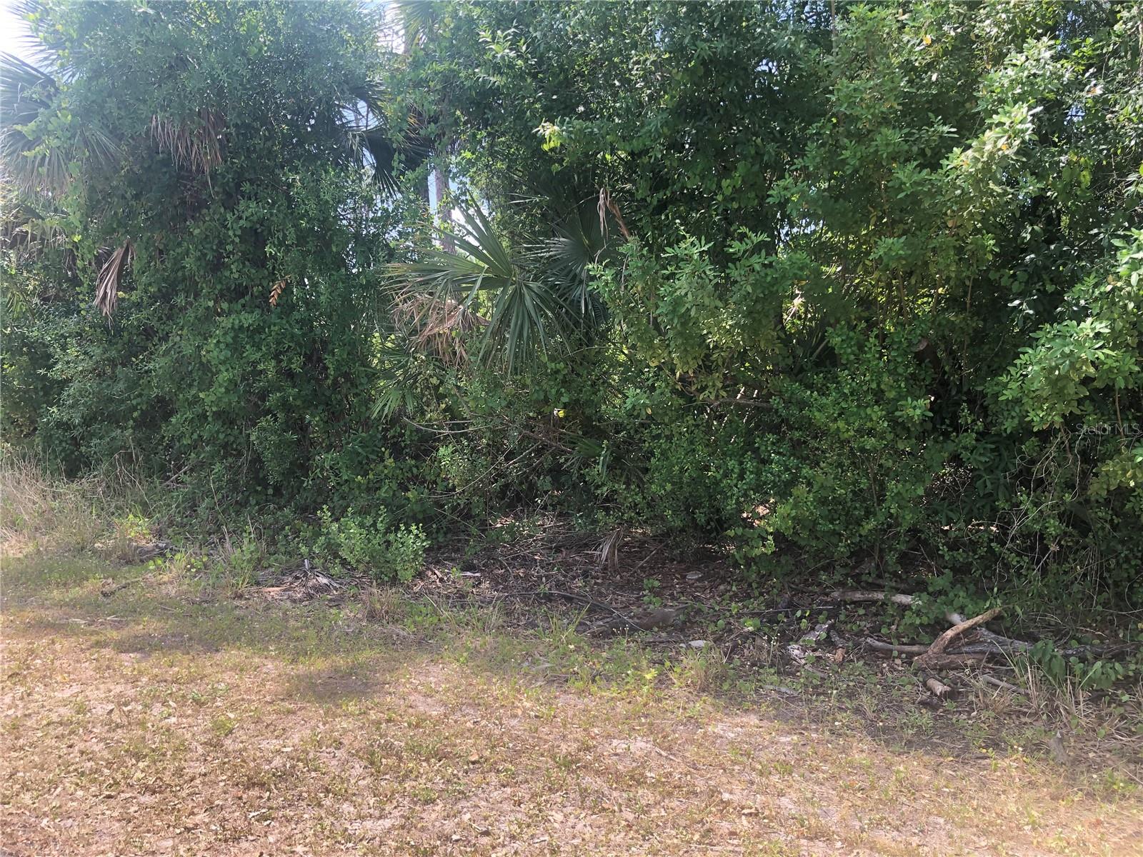 DANDURAND AVE Property Photo 1