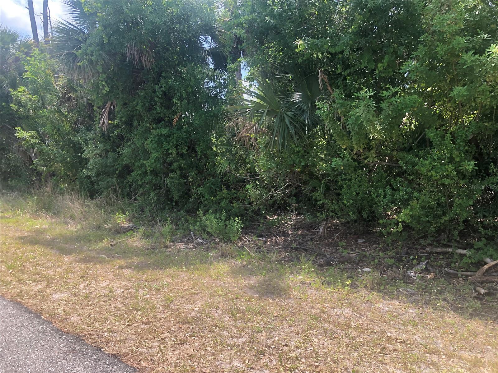 Dandurand Ave Property Photo 2