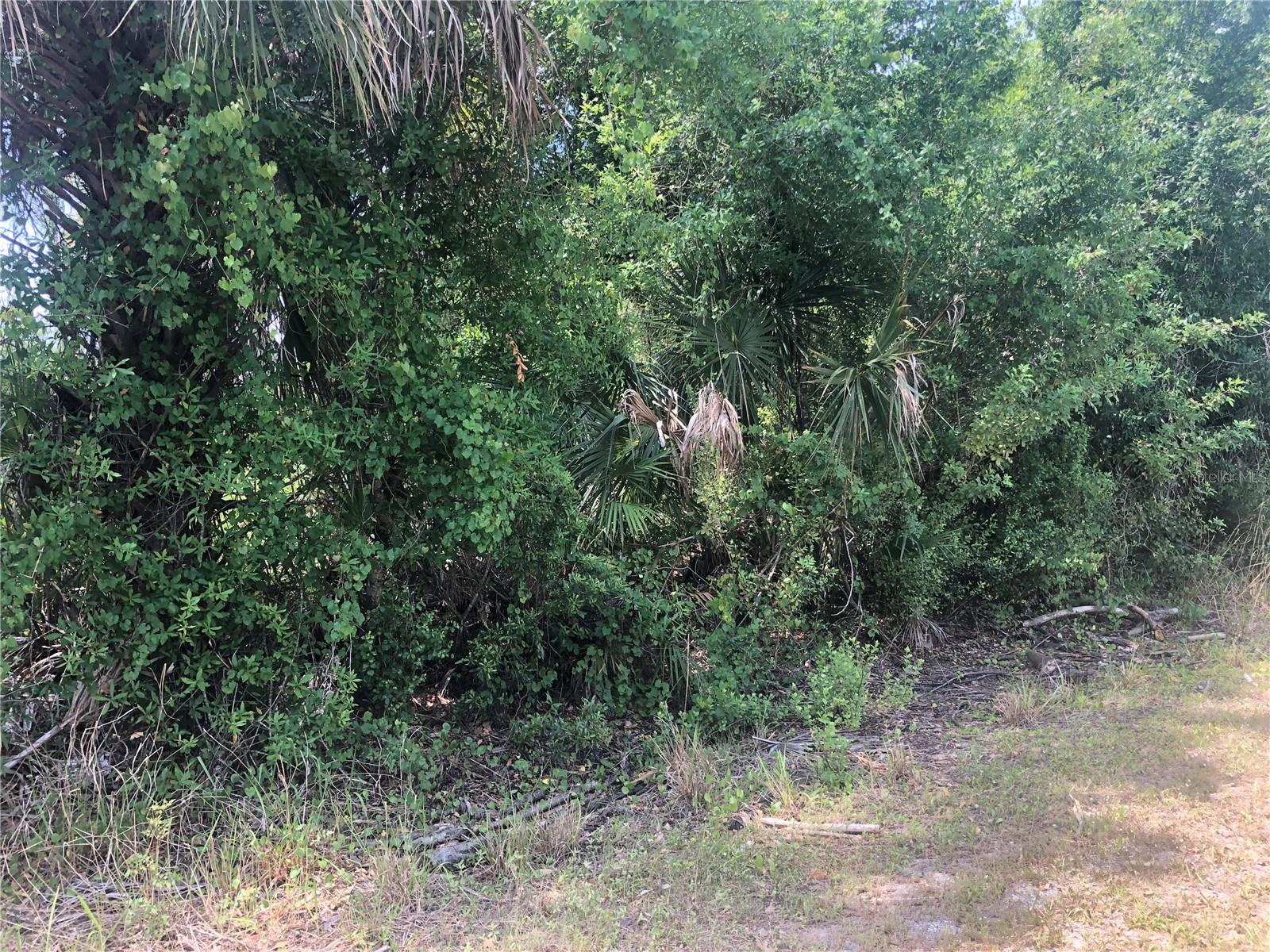 Dandurand Ave Property Photo 3
